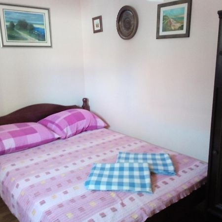 Apartment "Mislav" Горни Карин Екстериор снимка